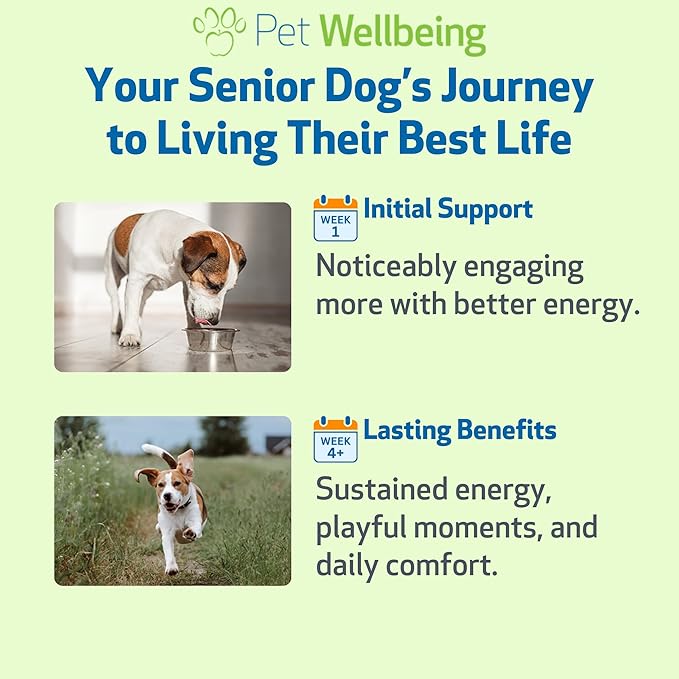 Pet Wellbeing Old Friend for Senior Dogs & Cats- Supports Immune System Health, Joint Mobility, Healthy Energy Levels, Alfalfa, Reishi - Veterinarian-Formulated Herbal Supplement 4 oz (118 ml)