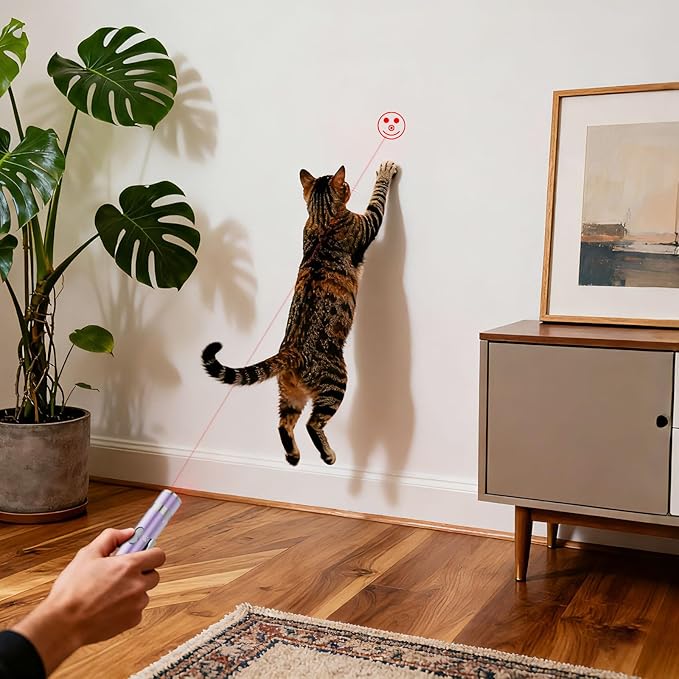 Bird Toy, Distinctive Purple Painted Metal Casing with Paw Print Design, USB Rechargeable, 3 Light Modes & 5 Adjustable Patterns,Interactive Chase Toy for Indoor Cat & Dog & Bird Training & Exercise