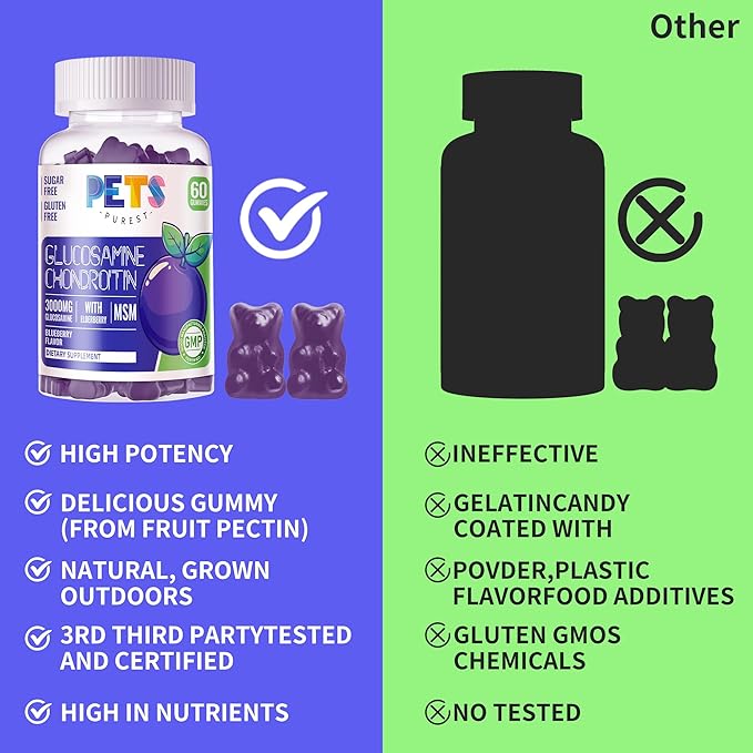 Pets Purest Glucosamine Chondroitin Gummies with MSM & Elderberry Extra Strength - Joint Support, Antioxidant Immune Support Supplement for Adults, Men & Women.(2 Pack) Blueberry
