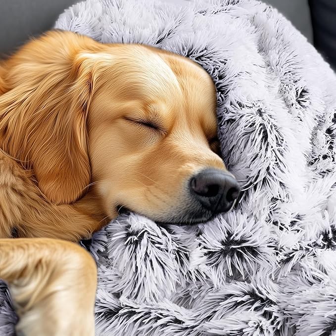 Luciphia Large Waterproof Dog Blanket for Pet Washable Liquid Proof Bed Intimacy Protection Shaggy Plush Calming Long Faux Fur Couch Cover Calming Cat Throw Blankets, Mist Grey, 50" x 60"