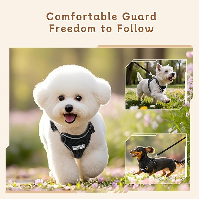 Small Dog Harness and Leash Set, Reflective Soft Breathable Mesh Vest, 3 Buckles, Adjustable Neck and Chest,Step in Dog Harness for Walking, Running, Training, Black, S