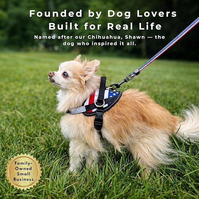 ShawnCo Essential Dog Harness, No-Pull Pet Vest with 3 Leash Clips, No Choke, Reflective, Adjustable and Padded, for Easy Walking and Training for Small, Medium and Large Dogs (Arctic Camo, XS)