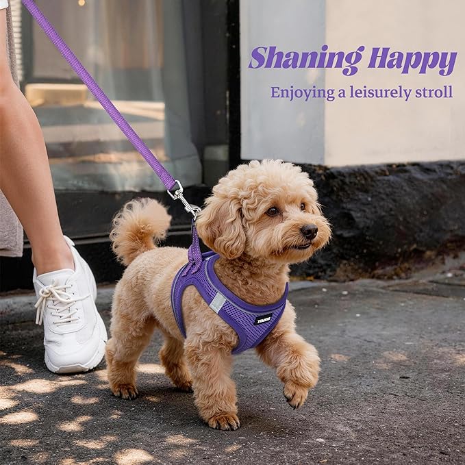 YIMEIS Dog Harness and Leash Set, No Pull Soft Mesh Pet Harness, Reflective Adjustable Puppy Vest for Small Medium Large Dogs, Cats (Purple, X-Small (Pack of 1)