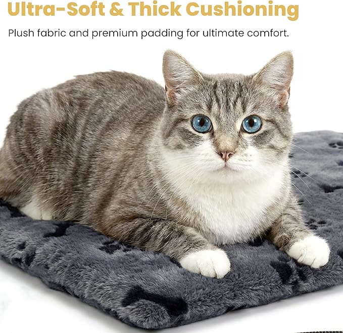 Pet Heating Pad for Cats Dogs, Heated Cat Dog Bed with 5 Temperature Levels, Timer, Auto Shut-Off, Thick Paw-Print Cover, Chew Resistant Cord for Indoor & Sheltered Outdoor Use (S: 16" x 13" x 1.3")