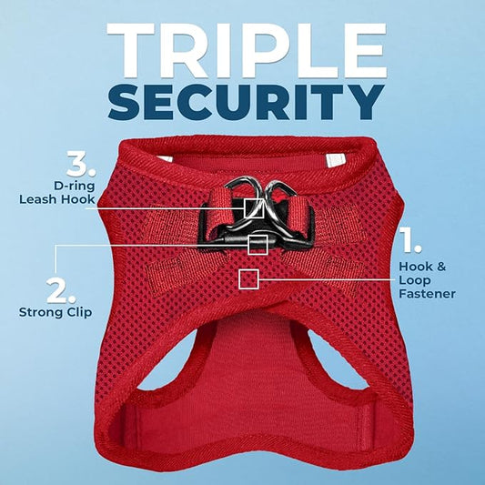Best Pet Supplies Voyager Step-in Air All Weather Mesh Harness and Reflective Dog 5ft Leash Combo with Neoprene Handle, for Small, Medium and Large Breed Puppies - Set (Red), Small