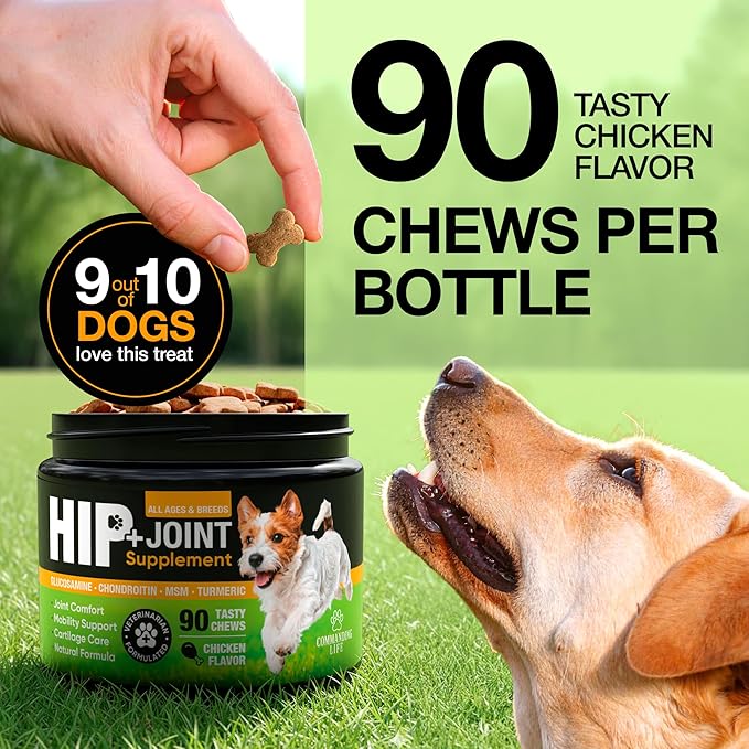 Glucosamine for Dogs – Hip and Joint Supplement Chews for Small, Medium & Large Dogs – Joint Pain & Mobility Support – Soft Chews for Pain and Inflammation Relief
