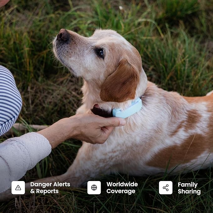 Tractive Smart Dog GPS Tracker with 6 Month Subscription | Live Pet Tracker with Virtual Fence | Vital Signs Monitoring of Heart & Respiratory Rate | Bark Monitoring | Dog Collar Attachment (Mint)