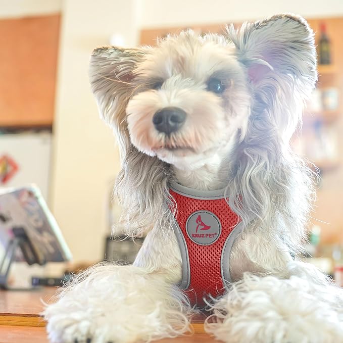 Kruz Dog Harness (Chest 13.5"-14", Weight 4–6 lbs) Athletica Adjustable Heavy Duty No Choke Puppy Vest for Small Dogs Lightweight Air Mesh, Reflective, Puppy Essentials – Red, X-Small