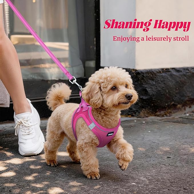YIMEIS Dog Harness and Leash Set, No Pull Soft Mesh Pet Harness, Reflective Adjustable Puppy Vest for Small Medium Large Dogs, Cats (Rose Red, X-Small (Pack of 1)