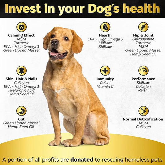Hip and Joint Chews for Dogs Plus Skin and Coat Supplement - Dog Joint Pain Relief Treats - Glucosamine, Chondroitin, MSM, Hemp Oil, Turmeric, Omega 3 for Dogs, Mobility Bites Dog Health