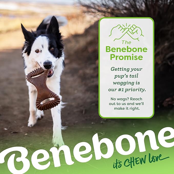 Benebone Dental Durable Dog Chew Toy for Aggressive Chewers, Real Peanut, Made in USA, Large