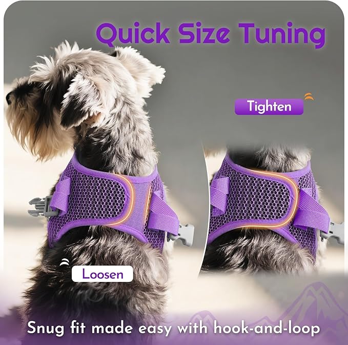 Eagloo Small Dog Harness and Leash Set, Step in Puppy Vest with Breathable Soft Mesh, Walking Reflective Pet Harness for Small Dogs, Purple, XXS