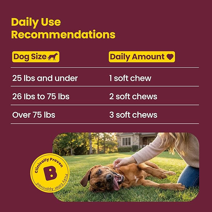 Calming Chews for Dogs – KSM-66 Ashwagandha, L-Theanine & Melatonin – Supports Relaxation & Calm Behavior – Great for Storms, Fireworks, Travel & Vet Visits – Turkey & Beef Flavor