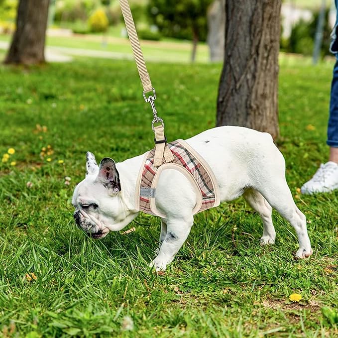 PUPTECK Adjustable Dog Harness Collar and Leash Set Step in No Pull Pet Harness for Small Medium Dogs Puppy and Cats Outdoor Walking Running, Soft Mesh Padded Reflective Vest Harnesses, Khaki L
