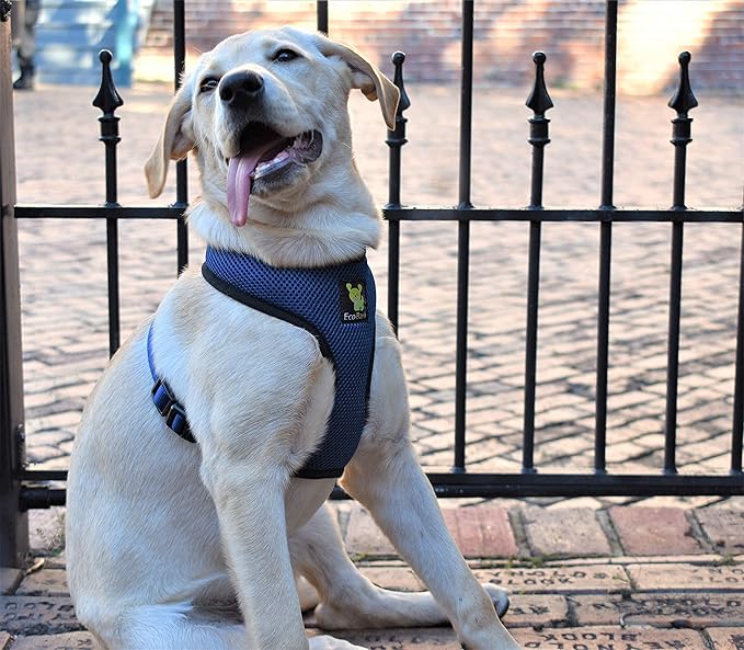 EcoBark Dog Harness - Eco-Friendly Max Comfort Harnesses - Luxurious Soft Mesh Halter - Over The Head Harness Vest- No Pull and No Choke for Large, XL, and XXL Dogs (XL, Navy)