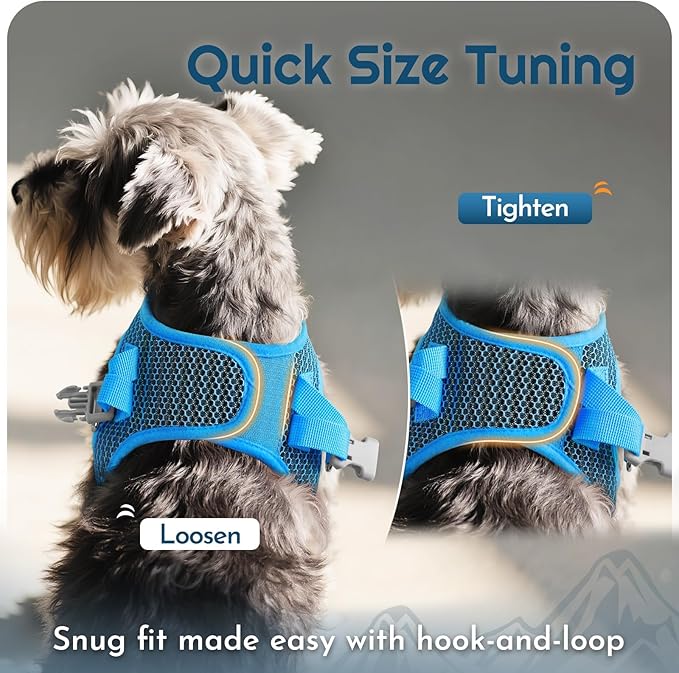 Eagloo Small Dog Harness and Leash Set, Step in Puppy Vest with Breathable Soft Mesh, Walking Reflective Pet Harness for Small Dogs, Blue, S