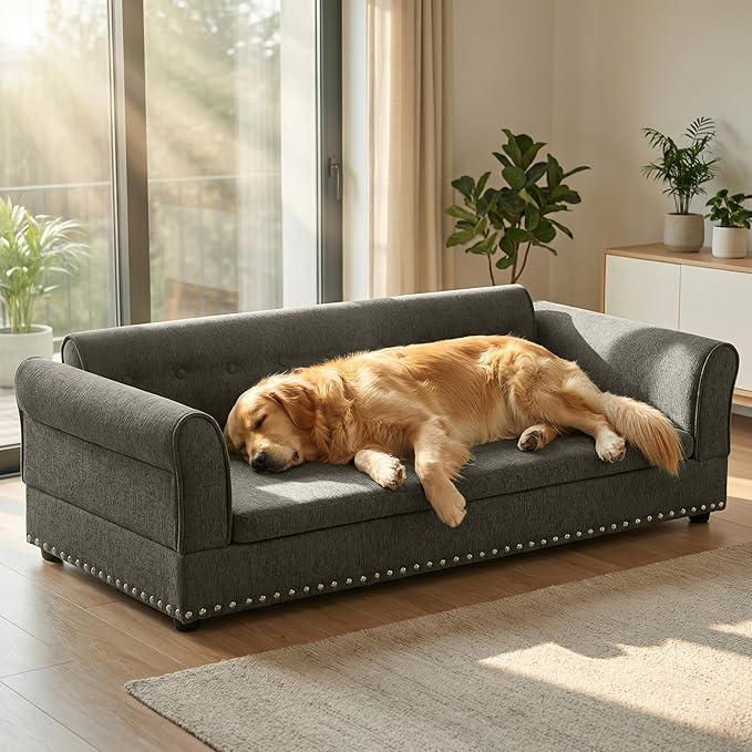 Elevated Dog Sofa for Medium to Large Dogs, Button Tufted Dog Couch Bed with Backrest and Armrests, Durable Memory Foam Pet Bed, Removable Cushion for Medium and Large Dogs, Dark Grey