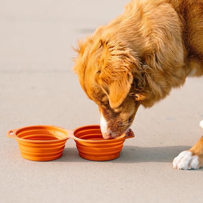 Pup Culture Dual Collapsible Dog Bowls | Silicone Travel Water Bowl for Dogs | Food Grade, No Plastic Rim, Portable Dog Bowl for Food and Water-Easy to Clean | BPA Free and Safe for Your Pup-Lavender