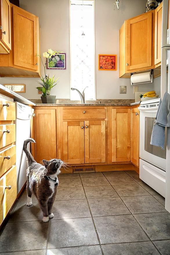 In Clover Sleek Daily Skin, Coat, and Hairballs Support Soft Chews for Cats
