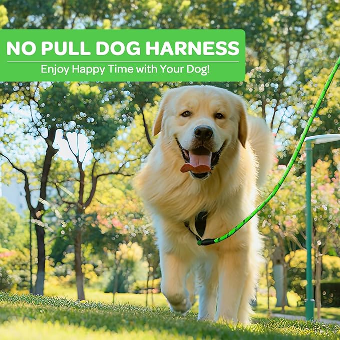 FURRYFECTION Plaid Dog Harness for Small Dogs, Reflective No Pull Adjustable Pet Vest with Front Clip, Leash, Easy Control Handle and Seat Belt, Green, S