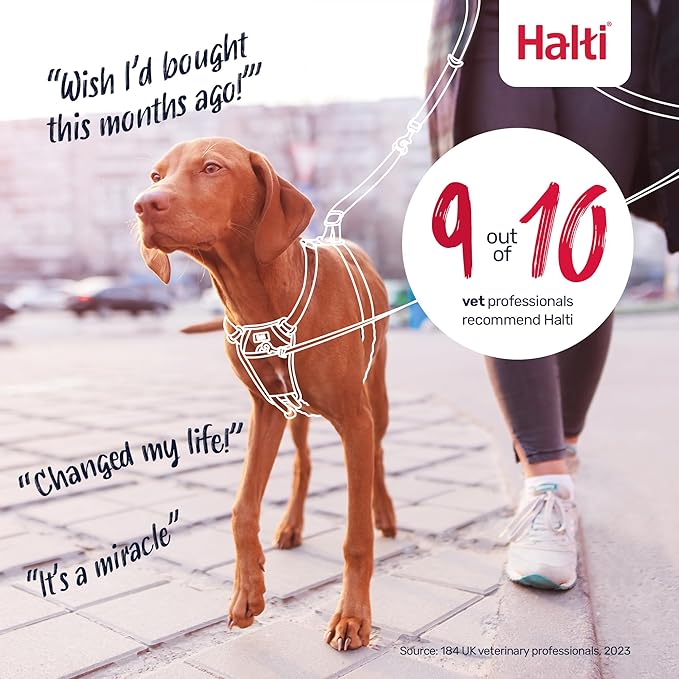 Halti No Pull Harness - Stop Your Dog Pulling on The Leash. Adjustable, Lightweight and Easy to Use. Reflective Dog Training Harness for Large Dogs (Size L, Cobalt Blue)