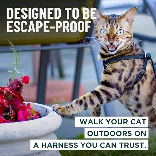 Houdini™ Escape Proof Cat Harness and Leash Set by OutdoorBengal – Tactical Vest for Walking – Comfy, Adjustable and Lightweight - Houdini Cat Harness Escape Proof for Cats + Cat Leash (Pink, M)