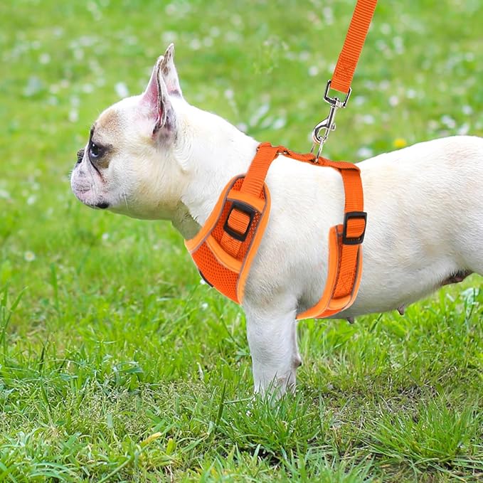 PUPTECK Small Dog Harness and Leash Set, No Pull Adjustable Puppy Cat Harness, Reflective Soft Mesh Pet Vest Small Sized, Orange, S
