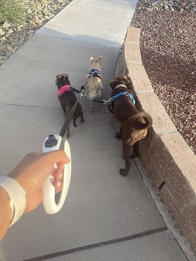 3 Way Dog Leash Coupler Heavy Duty No Pull Multiple Double Tangle Free Trio Nylon Bungee Cord Stretchy Sturdy Pups Lead for Small Medium Dogs Training Walking Doggy Puppy