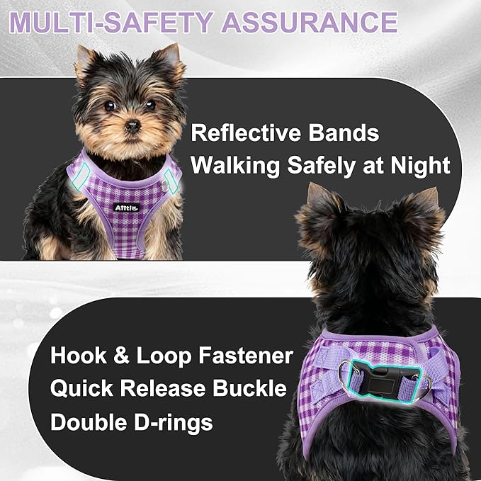 AIITLE Small Dog Harness with Leash – Soft Breathable Mesh, Plaid Pattern & Reflective Strips – Ideal for Training, Running & Party Outings (S, Purple)