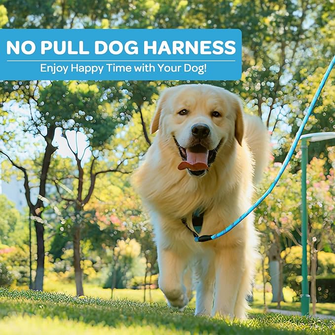FURRYFECTION Plaid Dog Harness for Medium Dogs, Reflective No Pull Adjustable Pet Vest with Front Clip, Leash, Easy Control Handle and Seat Belt, Blue, M