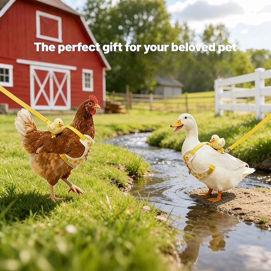 2Pcs Chicken Leashes and Harnesses Set, Adjustable Duck Leash with Elastic Breathable Pet Harness, Chicken Vest for Goose Duck Cat Hen Training Walking Strap Traction Rope