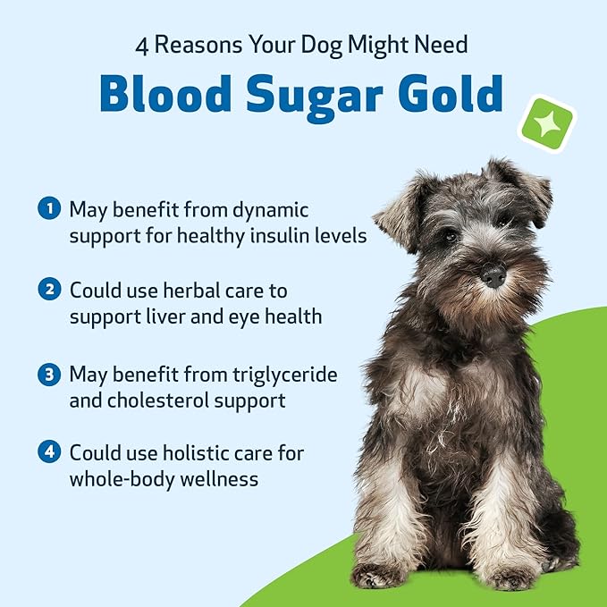 Pet Wellbeing Blood Sugar Gold Dogs - Holistic Blood Sugar Support, Pancreas & Liver Health, Gymnema, Fenugreek & Devilâs Club - NASC Certified & Vet-Formulated - 2 oz Liquid