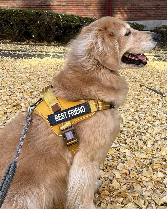AUROTH Dog Harness and Leash Set, Soft Padded Service Dog Vest with 5.25FT Dog Leash, No Choke, Easy On Pet Vest, Adjustable Reflective No Pull Dog Harness for Large Dogs, Easy Walking and Training