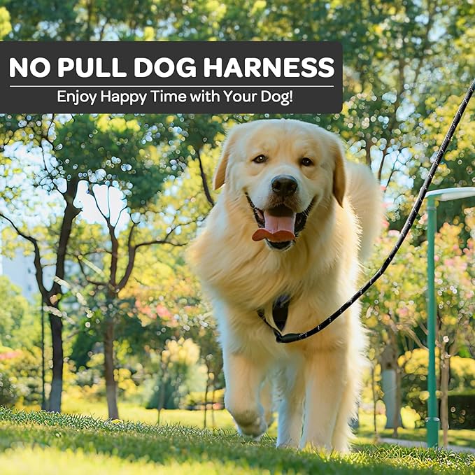 FURRYFECTION Plaid Dog Harness for Medium Dogs, Reflective No Pull Adjustable Pet Vest with Front Clip, Leash, Easy Control Handle and Seat Belt, Black, M