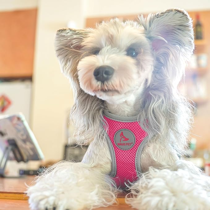 Kruz Dog Harness (Chest 13.5"-14", Weight 4–6 lbs) Athletica Adjustable Heavy Duty No Choke Puppy Vest for Small Dogs Lightweight Air Mesh, Reflective, Puppy Essentials – Raspberry Pink, X-Small