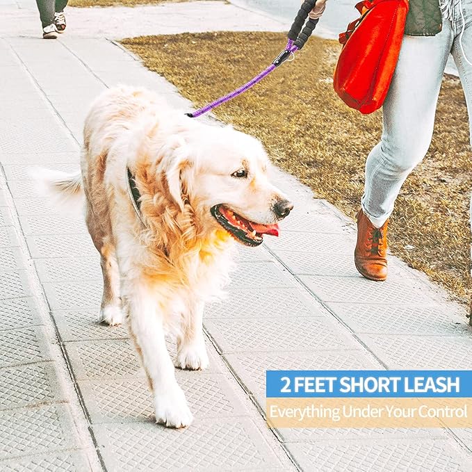 BAAPET 2/4/5/6 FT Dog Leash with Comfortable Padded Handle and Highly Reflective Threads for Small Medium and Large Dogs (2FT-1/2'', Purple)