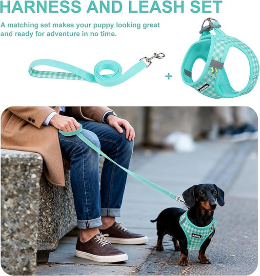 AIITLE No Pull Dog Harness and Leash Set, Step in No Chock Soft Mesh Dog Harnesses Reflective for Extra-Small Puppy Dogs and Cats, Plaid Dog Vest Harness for Pets Turquoise XXS