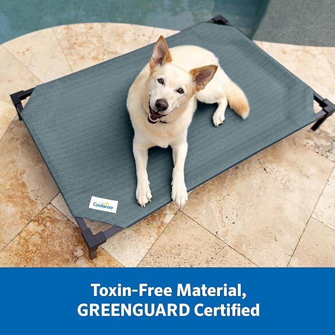 Coolaroo Pro Elevated Dog Bed with HeatShield Fabric – Advanced Cooling Raised Cot for Small & Medium Breeds, Easy-Clean, Low-to-Ground Access, Bonus Bolster Pillow – Everglade Green