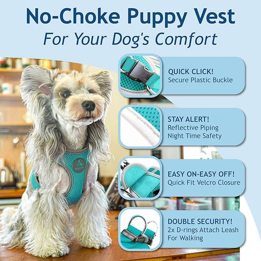 Kruz Dog Harness (Chest 13.5"-14", Weight 4–6 lbs) Athletica Adjustable Heavy Duty No Choke Puppy Vest for Small Dogs Lightweight Air Mesh, Reflective, Puppy Essentials – Turquoise, X-Small