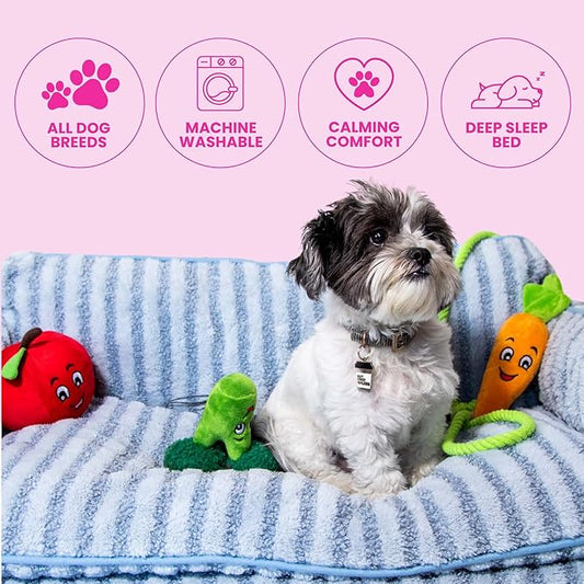 Glow Pups Dog Sofa Bed, Calming Comfort, Deep Sleep Luxe Faux Sherpa Pet Sofa, 3-Sided Couch Design, Machine Washable, Reinforced Stitching, Light Blue Striped, Medium 25.6" X 15.75" X 11.81"