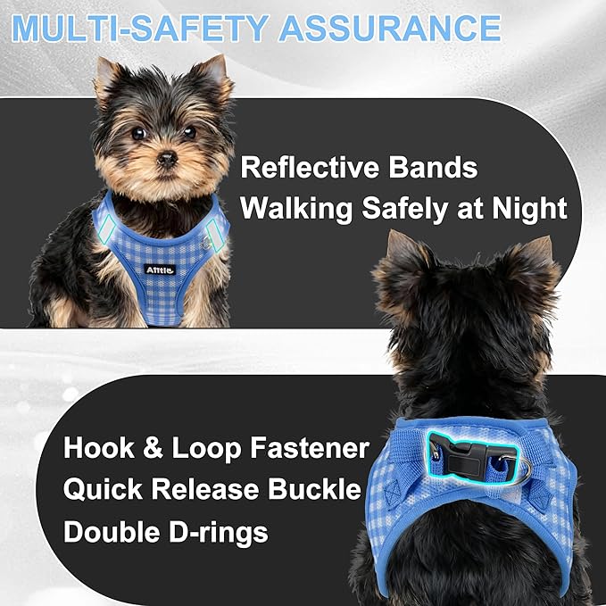AIITLE Easy Walk Dog Vest Harness and Leash Set, Pet Supply No Pull, Breathable Mesh, Reflective Stripes, Adjustable Escape Proof Pet Outdoor Harnesses for Medium Dogs Blue L