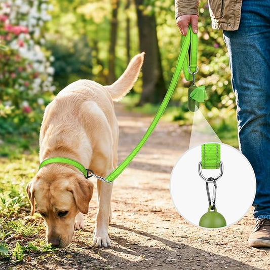 Joytale Dog Leash, 5 FT Double-Sided Reflective, Padded Handle Nylon Heavy Duty Leashes for Medium & Large Dogs Walking, Green