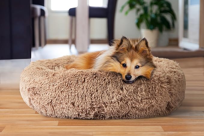 JDR Luxury Pet Beds for Dogs and Cats| Donut Cuddler| Cozy Soft Material| Easy Machine Washable| All Breeds and Sizes| Small| Medium| Large| X-Large (Small)