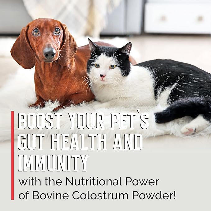 BodyBoost Bovine Colostrum for Dogs and Cats, Organic Immune Support Supplement for Allergy and Itch Relief, Grass Fed Colostrum Powder for Pets, Dog Gut Health, All Ages, 8 oz
