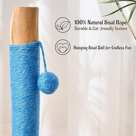 29" Tall Cat Scratching Post for Indoor Cats Adults, Extra-Stable & Natural Solid Wood Scratching Post Sisal Scratcher with Hanging Funny Ball, Blue