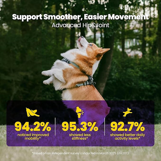 Advanced Hip & Joint Supplement for Dogs - 90 Soft Chews with Glucosamine, MSM, Chondroitin & Multivitamins - Supports Mobility & Flexibility - Made with Pasture-Raised Chicken
