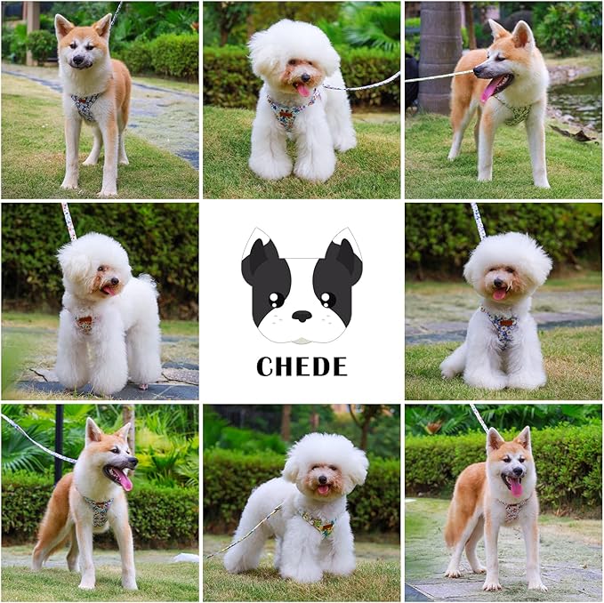 CHEDE No Pull Floral Pattern Dog Harness- Lightweight and Soft Harness, Adjustable Small Dog Harness and Leash Set, with Dog Leash, Suitable for Puppy Small and Medium-Sized Dog (M, Black Flower)