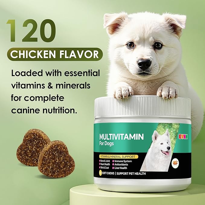 Multivitamin for Dogs,Dog Multivitamin Chews with Essential Vitamins & Minerals - Skin & Coat Health, Immune Support, Heart & Liver Care, Chicken Flavor, 120 Count