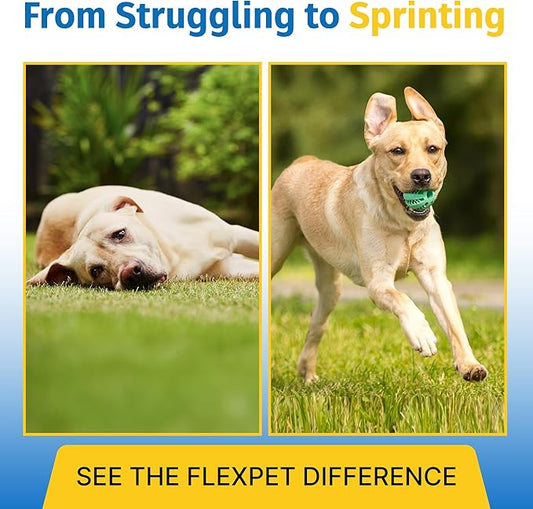 Hip & Joint Supplement for Dogs & Cats with Cetyl Myristoleate, Glucosamine, Collagen, MSM - Max Strength Joint Support for Mobility, Senior Pets, Large Breeds - Trial Pack (Bacon/Cheese)