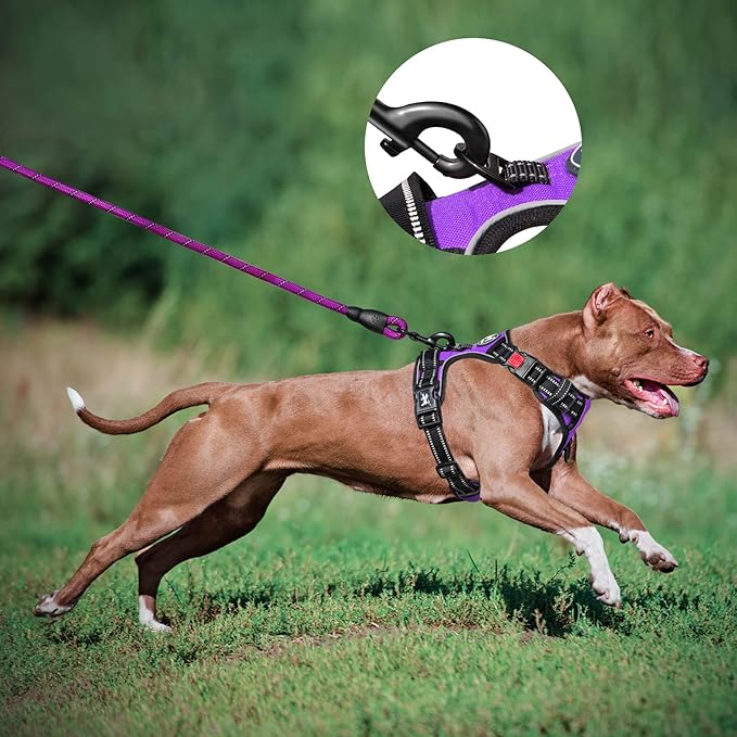 PoyPet Dog Harness and Leash Combo, Escape Proof No Pull Vest Harness, with 5 Feet Leash, Reflective Adjustable Soft Padded Pet Harness with Handle for Small to Large Dogs(Purple,M)